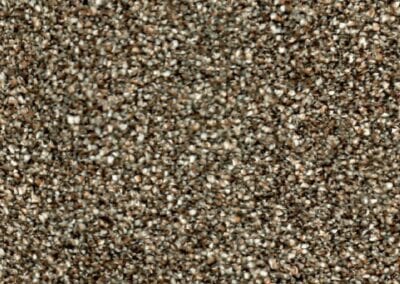 Calgary Carpet 03