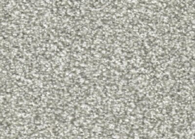 Calgary Carpet 05