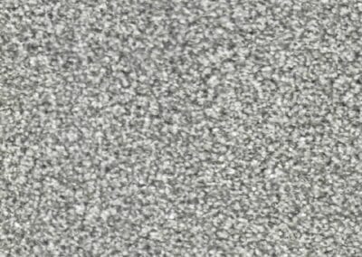 Calgary Carpet 06